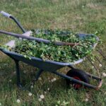 photo of a wheelbarrow with green leaves